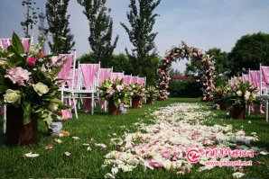 2018年9月15日北京草坪集体婚礼，粉色布景篇，美的色彩